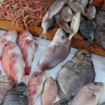 هل فعلا هدد عامل اقليم الصويرة رئيس المجلس الإقليمي باللجوء الى مسطرة العزل؟