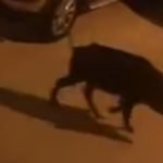 في اقل من اسبوع اصابة شخصين في انهيار منزل اخر بالمدينة العتيقة بمراكش