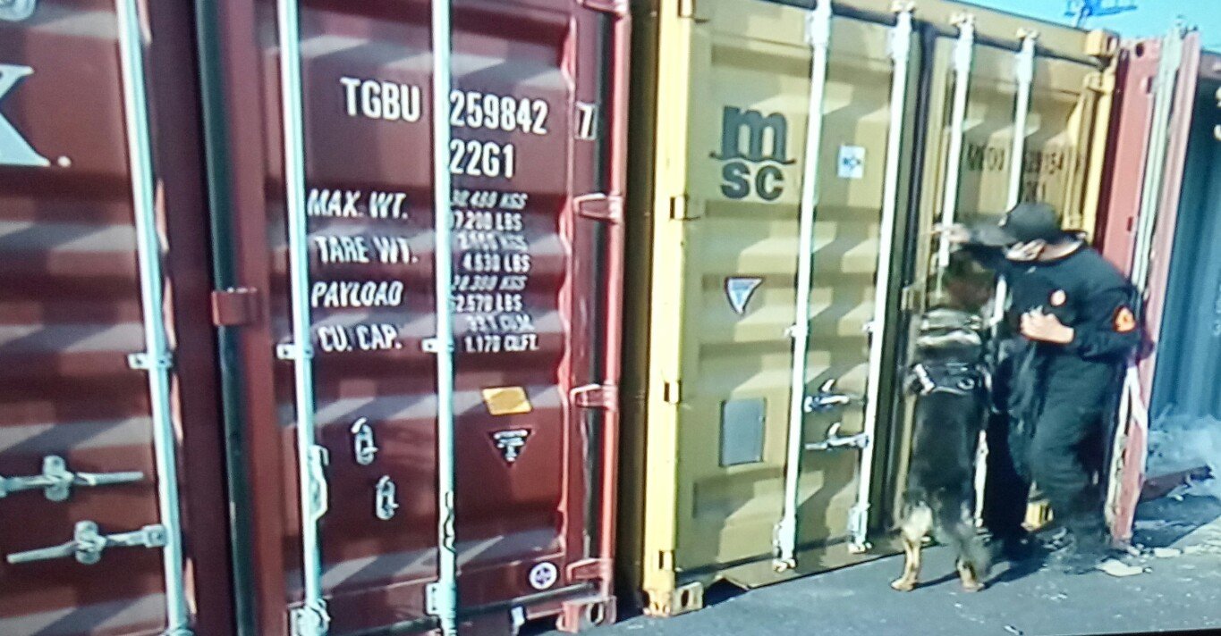 امن ميناء البيضاء يحبط عملية تهريب زهاء نصف طن من المخدرات