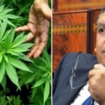 شابان و قاصر امام القضاء من اجل محاولة السرقة باستعمال العنف بالدارالبيضاء