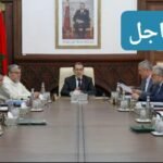 عناصر البسيج تعتقل عنصرين خطيرين ينتميان ل”داعش”بميسور و تازة