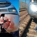 عاجل : الحكومة تقرر تمديد حالة الطواريء الصحية لشهر اضافي