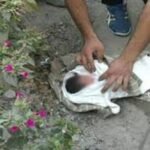 منع إعتصام أمام سجن عكاشة تضامناً مع الصحفي الريسوني