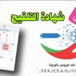 عفو ملكي لفائدة 510 من بنهم معتقلين و في حالة سراح المحكوم عليهم من طرف محاكم المملكة