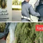 ثلاث هزات ارضية متتالية وراء هلع الساكنة بإقليم الحسيمة