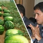 الطفل الافغاني حيدر يفارق الحياة (مصدر حكومي)