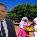 درك بلفاع يتمكن من حجز سيارة محملة ب 8 اطنان من مسكر ماء الحياة معدة للبيع في عيد الفطر