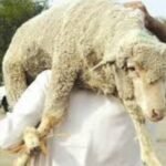 نقل شرطي بين الحياة والموت الى المستشفى سقط من اعلى عمارة ببني ملال