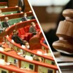 بوجدة ادانة جماعة الناضور بسبب ابادة الكلاب الضالة بالرصاص