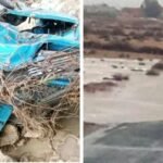 سقوط شجرة وراء مصرع ثلاثيني بمراكش