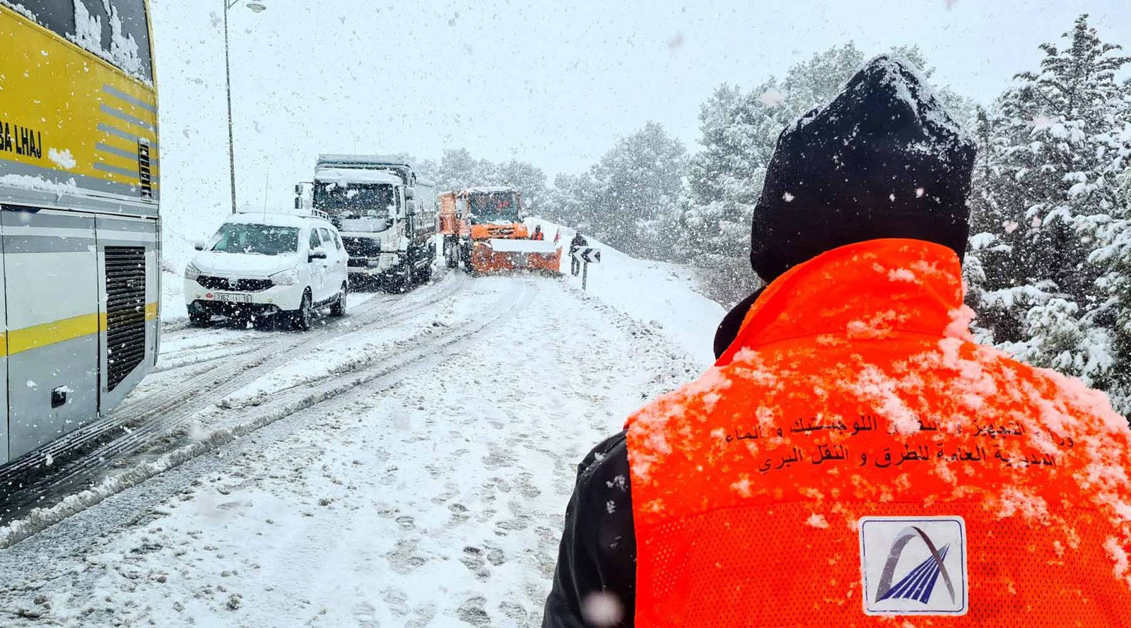الثلوج تجتاح مدينة افران و السلطات المختصة تعمل على إزاحتها و فتح المحاور الطرقية