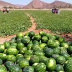 والدة الطفل العداء بدون حذاء تكشف عن الم المعاناة مع متطلبات الحياة