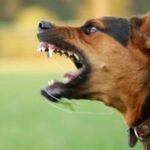 موظف متعاقد بمسرح محمد الخامس بالرباط يضرم النار في نفسه و وزارة الثقافة تصدر بلاغ