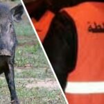 ارتفاع اسعارة تذاكر سيارات الاجرة بين المدن في الاعياد و العطل ظاهرة مستمرة