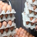 بمراكش شجار يقود إلى ضبط البوفا و الكوكايين بسيارة مسؤول قضائي سابق