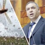 اعتقال صاحب محل تجاري بحوزته شهب نارية تعتبر بالخطيرة