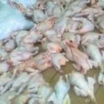 منظمة الصحة تدق ناقوس الخطر بسبب متحور جديد لكورونا ينتشر بسرعة