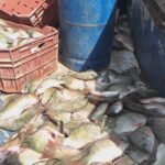 متى تحرر سلطات المحاميد الملك العمومي بمحيط سوق الزيتون بمراكش؟