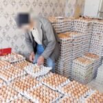 وجدة… 17 شخصاً ضمنهم طلبة تعرضوا لتسمم غذائي بالقرب من الحي الجامعي