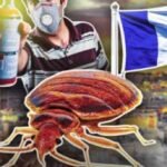 هزة أرضية جديدة زوال اليوم الاحد بإقليم الحوز