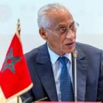 حاول إنقاذ قطة فدهسه القطار بين الرباط و فاس