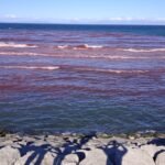 عصابة البوليساريو تستمر في مناوشتها و تلقي بمقدوفات نارية بتراب اوسرد