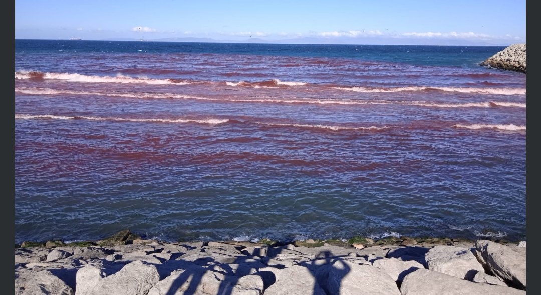 تغير لون مياه شاطئ مرقالة يستنفر سلطات طنجة