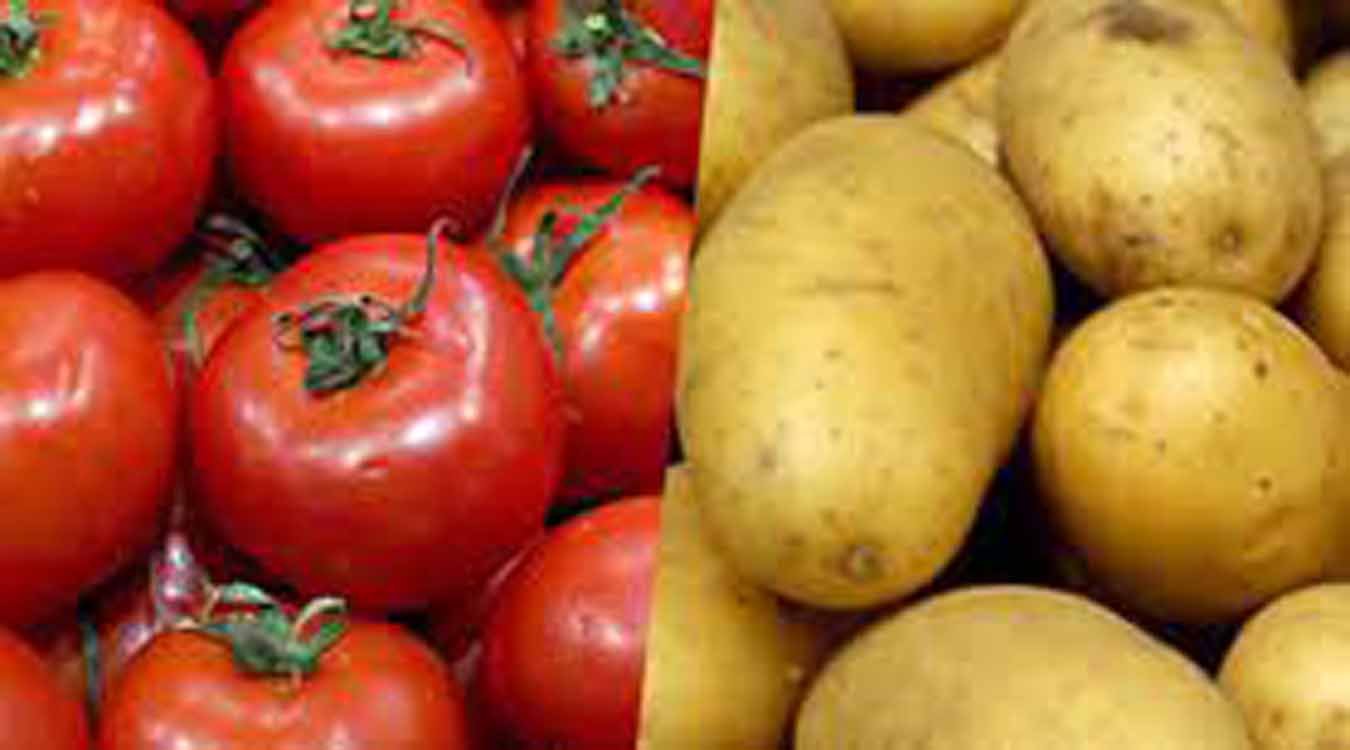 اسعار الطماطم حارقة و اسعار البطاطيس تراجعت بدرهمين
