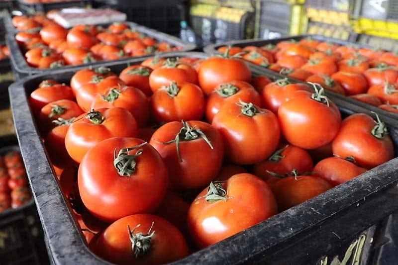 رئيس جمعية الخضر و الفواكه بالدار البيضاء: الوضع أصبح كارثيا، بسبب ارتفاع الأسعار