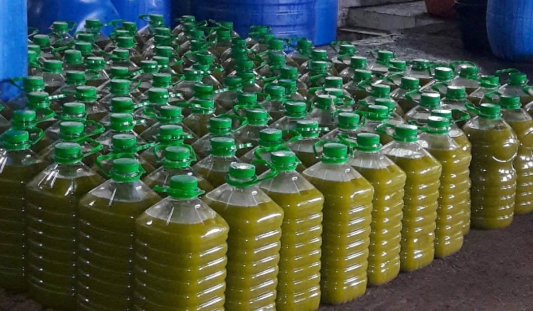 اعتقال متورط في حجز اطنان من زيت الزيتون المغشوشة