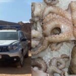 التلاعب ببرنامج اوراش وراء إغلاق الحدود أمام عمدة فاس و رئيس مجلس العمالة و فرار مستشارة إلى تركيا