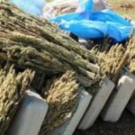 ربط المسؤولية بالمحاسبة يدفع برلمانيين ورؤساء جماعات إلى الفرار و الاختباء