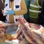 مجلس النواب يستقبل رئيس الحكومة للمساءلة حول السياسة العامة