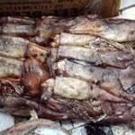 المركز الوطني لتحاقن الدم يشجع على الانخراط في التبرع بالدم خلال رمضان