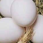 مندوبية التخطيط: تتوقع تحسن أنشطة قطاع البناء واستقرار في جل القطاعات الاقتصادية