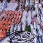 المركز الوطني لتحاقن الدم يشجع على الانخراط في التبرع بالدم خلال رمضان