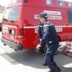 جائزة أحسن وأكبر فحل في نسخة هذه السنة من المعرض الدولي للفلاحة لكساب من ابي الجعد