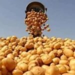 محكمة جرائم الاموال بفاس تدين 3 عناصر من القوات المساعدة