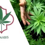 اعتقال منقبة نصبت على عدد من الأشخاص بوادزم