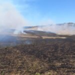 وزير الصحة السعودي: 1301 حالة وفاة “83 بالمئة منهم غير مصرح لهم بالحج”