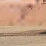 وزارة الداخلية تعلن عن حركة انتقالية في صفوف رجال السلطة باستثناء الولاة و العمال