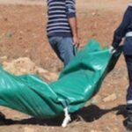 إرتفاع أسعار الدجاج يجر وزير الفلاحة للمسائلة بالبرلمان