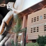 درك تحناوت يحجز حوالي 100 كلغ من الدجاج الفاسد قبل وصوله الى المستهلك