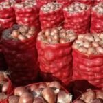 مصرع شخصين و اصابة 7 اخرين من أصول إفريقية في حادثة مروعة جنوب بيوكرى