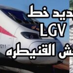 تطبيق GPS يطيح بلص سرق “طابليت” من موظف الاحصاء بمراكش