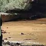 احباط عملية للتهريب الدولي لشحنة من المخدرات تزن ازيد من  ثمانية اطنان بمناء اسفي