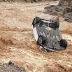 هل تنجح الحكومة في التخلي عن التعاملات الورقية وتغييرها بالذكاء الاصطناعي لتطوير الإدارات