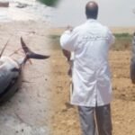 هكذا دافع لفتيت حول موضوع مراقبة الصفقات بوزارته