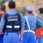 مندوبية الحليمي.. توقعات انخفاض أسعار الخضر والدواجن واستمرار غلاء اللحوم الحمراء