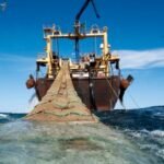 طاكسي صغير يقل اربعة زبناء أجانب يستنفر شرطة المرور بمراكش